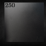 305299